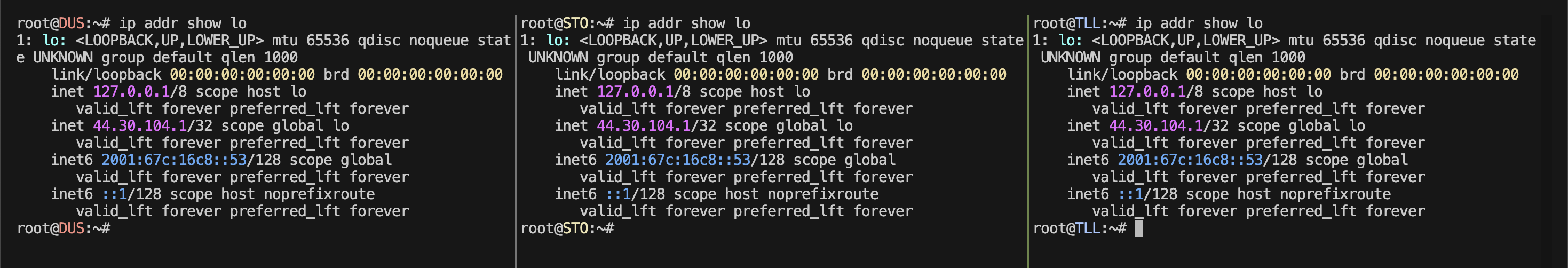 Adding the an address from the anycast blocks to the loopback interface of each host